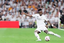 归不仅是巴 归不仅是巴